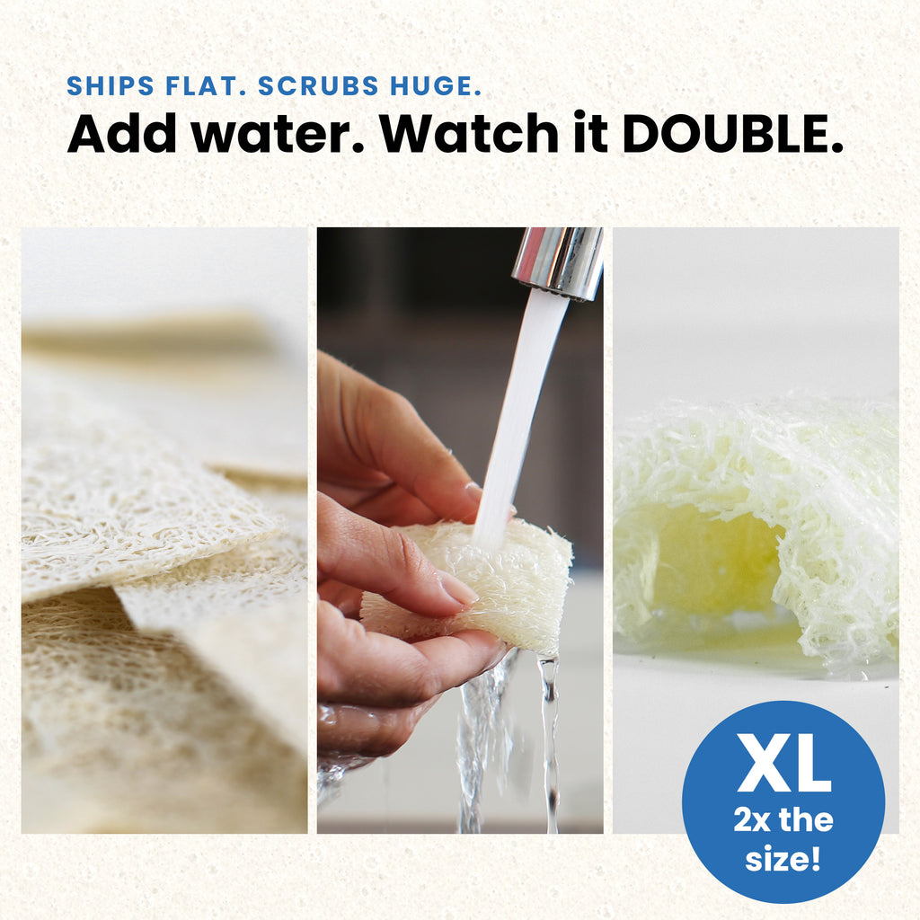 Scrub & Throw XL loofah scrub sponge, 15-pack - plastic-free plant-based kitchen sponge (view 2)